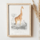 Pesquisar por imagens animais pósteres Girafa