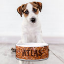 Pesquisar por retro animais estimação acessórios Cachorros