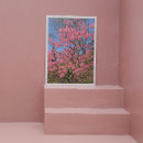 Pesquisar por azáleas cor de rosa Qualquer pessoa