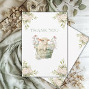 Pesquisar por cordeiro pequeno cartoes Bebê