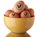 Pesquisar por fazenda carimbos Agricultor