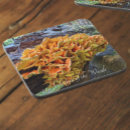 Pesquisar por estante porta copos Para todos