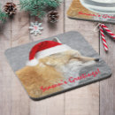 Pesquisar por raposa vermelha porta copos Capricho