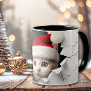 Pesquisar por gato 3d canecas Engraçado