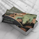 Pesquisar por store Réptil