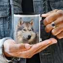 Pesquisar por malamute do alasca canecas Animal de estimação