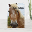 Pesquisar por appaloosa Horse