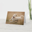 Pesquisar por cute puppy cartoes Adorable