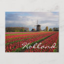 Pesquisar por tulipas vermelhas cartoes postais Jardim