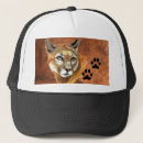 Pesquisar por pumas bones Gato