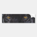 Pesquisar por leopardo do adesivos carros Gato