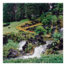 Pesquisar por conservação de água pósteres Preservação