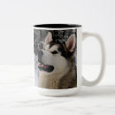 Pesquisar por malamute Animais de estimação