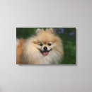 Pesquisar por chicote de fios artes pósteres Cão