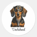 Pesquisar por de do dachshund adesivos Cão