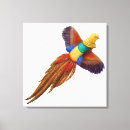 Pesquisar por faisão impressão de canvas Faisões