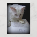 Pesquisar por garras cartoes postais Gato