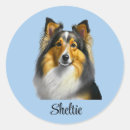 Pesquisar por sheltie adesivos Estante