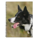 Pesquisar por border collie cadernos de notas Fotógrafo canino