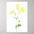 Pesquisar por borboletas amarelas pôsteres pósteres Flores