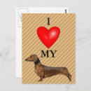 Pesquisar por eu amo meu dachshund cartoes postais Animal