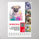 Pesquisar por cachorrinho pôsteres pósteres Para pets