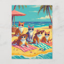 Pesquisar por férias engraçadas cartoes postais Gatos