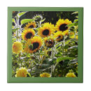 Pesquisar por mulher bonita azulejos Para ela