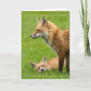 Pesquisar por família raposa cartoes Animal