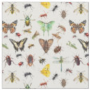 Pesquisar por libélulas artesanato material Inseto