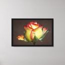 Pesquisar por rosa vermelha impressão de canvas Casal