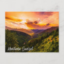 Pesquisar por trees cartoes postais Sunrise
