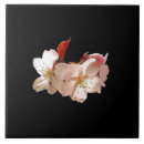 Pesquisar por flor de cerejeira azulejos Sakura