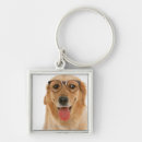 Pesquisar por do golden retriever chaveiros Horizontal