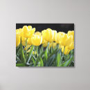 Pesquisar por tulipa amarela impressão de canvas Para todos