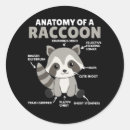 Pesquisar por raccoon adesivos Amante de guaxinim