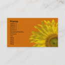 Pesquisar por girassóis que cartao de visita Girassol amarelo