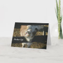 Pesquisar por make up cartoes Romance