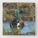 Pesquisar por pato selvagem relogios de parede Aves aquáticas