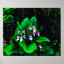 Pesquisar por orquídea azul pósteres Brilhante