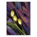 Pesquisar por cumprimento da tulipa Qualquer pessoa
