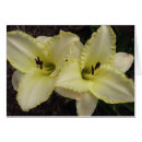 Pesquisar por casamento aliança cartoes postais Floral