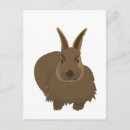 Pesquisar por bunny rabbit cartoes postais Animal