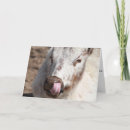 Pesquisar por funny cow cartoes Cattle