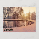 Pesquisar por pato pequeno cartoes postais Patos