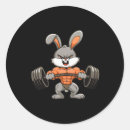 Pesquisar por bodybuilding adesivos Elevação de peso