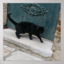 Pesquisar por gato francês pósteres Impressão