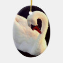Pesquisar por lagartos ornamentos Animais