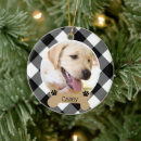 Pesquisar por cão ornamentos Cachorros