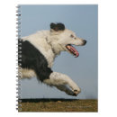 Pesquisar por border collie cadernos de notas Cão